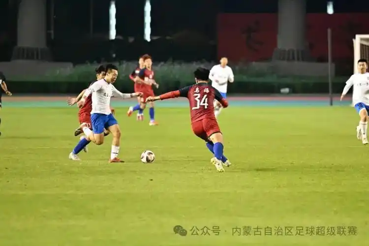 给我看免费播放的视频MV